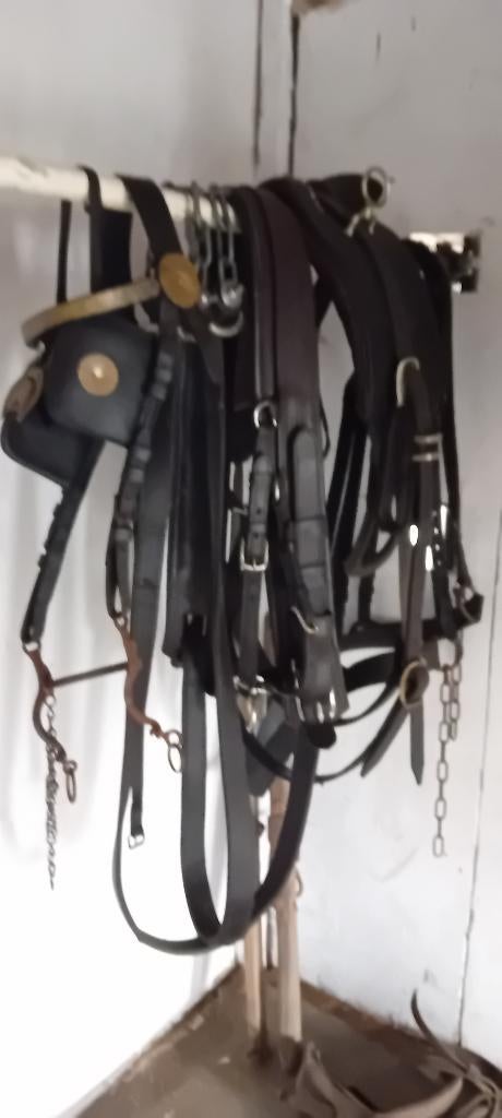 Paardentuig, Dieren en Toebehoren, Ophalen, Gebruikt, Overige soorten