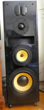 Rogers Monitor RM40TL 8.0 Transmissielijn, Audio, Tv en Foto, Luidsprekers, Overige typen, Zo goed als nieuw, 120 watt of meer