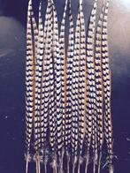 Koning fazant veren carnavalsveren, Kleding | Heren, Carnavalskleding en Feestkleding, Carnaval, Nieuw, Ophalen of Verzenden, Accessoires