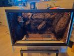 Terrarium 40x30x30, Dieren en Toebehoren, Reptielen en Amfibieën | Toebehoren, Ophalen