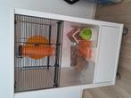 Luxe omlet Qute mk3 hamster / knaagdieren kooi, Dieren en Toebehoren, Ophalen, Kooi, 60 tot 90 cm, Minder dan 75 cm