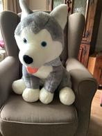 Grote knuffel Huskey hond tbv KIKA, Kinderen en Baby's, Speelgoed | Knuffels en Pluche, Ophalen of Verzenden, Zo goed als nieuw