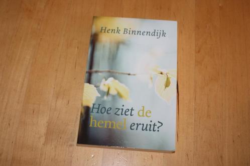 Hoe ziet de hemel eruit?, Henk Binnendijk, Boeken, Godsdienst en Theologie, Gelezen, Christendom | Protestants, Ophalen of Verzenden