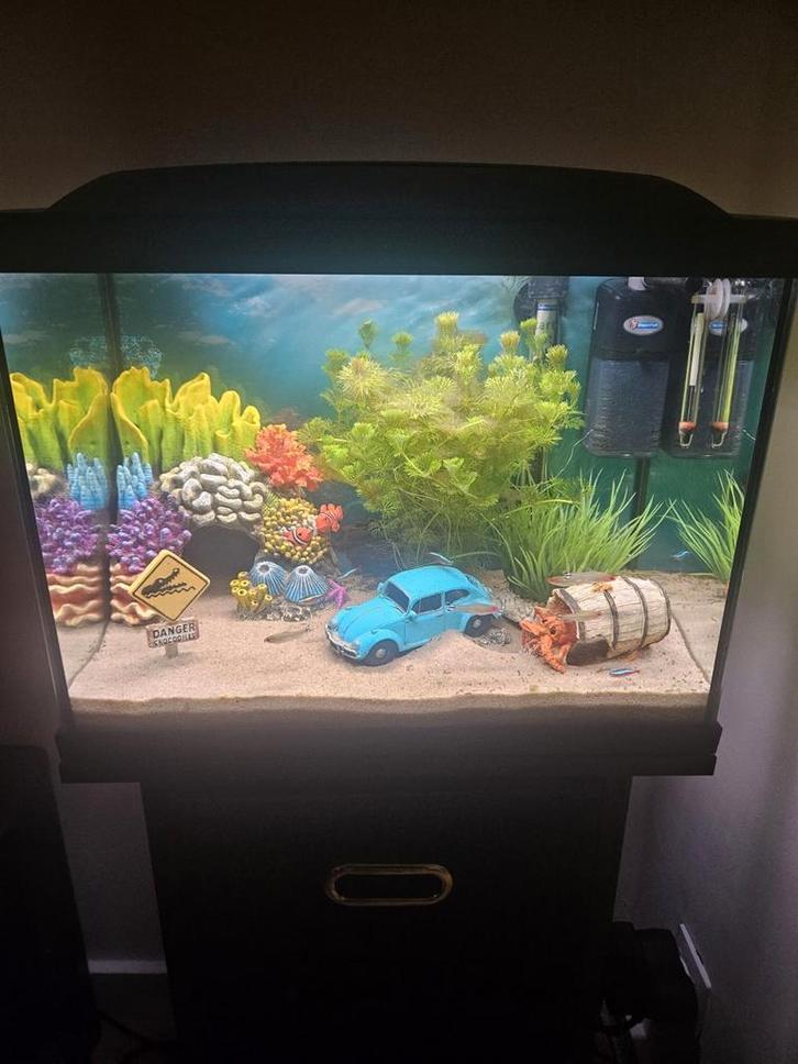Maand oude aquarium superfish 50 met chihiros lamp, Dieren en Toebehoren, Vissen | Aquaria en Toebehoren, Zo goed als nieuw, Leeg aquarium