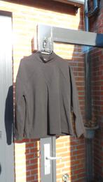 Shirt maat M Zara, Kleding | Dames, T-shirts, Maat 38/40 (M), Ophalen of Verzenden, Zo goed als nieuw, Korte mouw