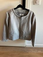 Bomber jasje, Kleding | Dames, Maat 42/44 (L), Nieuw, Ophalen of Verzenden, Grijs