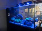 Zeeaquarium Marine reef Tank waterbox AIO 50.3 coralen, vis, Dieren en Toebehoren, Vissen | Aquaria en Toebehoren, Ophalen, Zo goed als nieuw