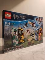 Lego Harry Potter Quidditch Match 75956 - Complete Set, Ophalen of Verzenden, Zo goed als nieuw, Complete set, Lego