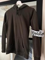 Hoodie Malelions - maat 164, Kinderen en Baby's, Kinderkleding | Maat 164, Ophalen of Verzenden, Zo goed als nieuw, Jongen, Trui of Vest