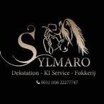 Dekstation,KI-Service & merriebegeleiding | nog boxen vrij, Dieren en Toebehoren, Stalling en Weidegang