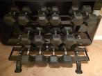 Hexagon Dumbells gewichten van 32.5 tot 40kg, Ophalen, Zo goed als nieuw, Dumbbell