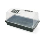 2 x propagators (of 1 als je er maar 1 wil), Ophalen of Verzenden, Bloeit niet, Bodembedekkers, Volledige schaduw