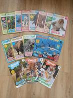 17 Dieren Tijdschriften: Tamtam & Ranger Report, Boeken, Tijdschriften en Kranten, Ophalen of Verzenden, Gelezen