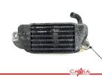 RADIATEUR BMW R 1200 C (R1200C 97) (01-1997/-), Motoren, Onderdelen | BMW, Gebruikt