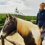 Ervaren Bijrijder (37jr) aangeboden - verzorgpaard, Dieren en Toebehoren, Nieuw, Ophalen of Verzenden