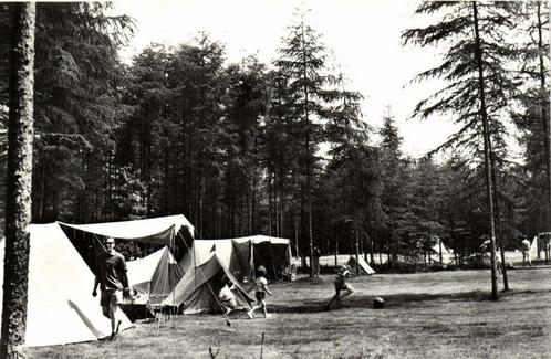 Recreatiecentrum De Roggeberg, Appelscha - 1966 gelopen, Verzamelen, Ansichtkaarten | Nederland, Gelopen, Overijssel, 1960 tot 1980