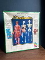 Anatomie Spel - Science & Découverte - Educatief, Ophalen of Verzenden, Gebruikt