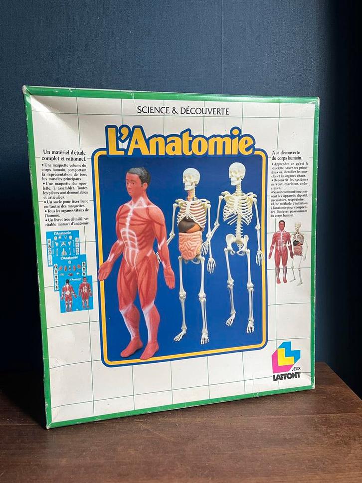 Anatomie Spel - Science & Découverte - Educatief, Kinderen en Baby's, Speelgoed | Educatief en Creatief, Gebruikt, Ophalen of Verzenden
