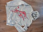 Sweater Max Verstappen grijs maat L, Ophalen of Verzenden, Zo goed als nieuw, Grijs