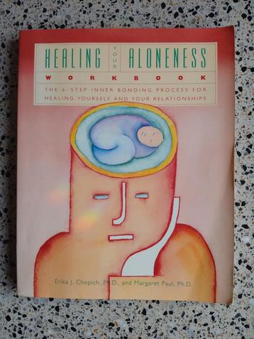 Healing Your Aloneness Workbook zgan vaste prijs  beschikbaar voor biedingen