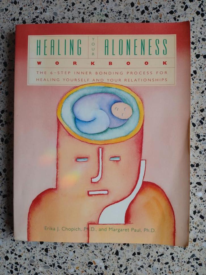 Healing Your Aloneness Workbook zgan vaste prijs, Boeken, Psychologie, Zo goed als nieuw, Overige onderwerpen, Ophalen of Verzenden