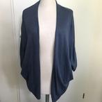 Peter Hahn Lavendelblauw vest 70% zijde maat 44, Kleding | Dames, Verzenden, Zo goed als nieuw, Maat 42/44 (L)