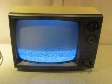 Prima Kleine Draagbare TV - Samsung - 30cm beschikbaar voor biedingen