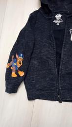 Paw Patrol vest - maat 110/116 (label weg), Trui of Vest, Ophalen of Verzenden, Zo goed als nieuw, Paw Patrol
