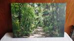 Print op canvas: jungle bij Tulum, Mexico. 60 bij 40 cm, Ophalen of Verzenden, Minder dan 50 cm, 50 tot 75 cm, Print