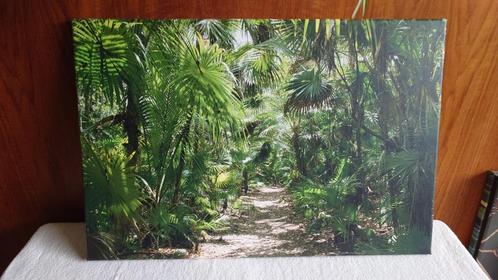 Print op canvas: jungle bij Tulum, Mexico. 60 bij 40 cm, Huis en Inrichting, Woonaccessoires | Schilderijen, Tekeningen en Foto's