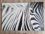 PJÄTTERYD Zebra canvas 118 x 78 cm, Ophalen