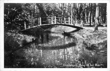 (388-401-005) Driebergen-Rijsenburg Brug in het bos beschikbaar voor biedingen