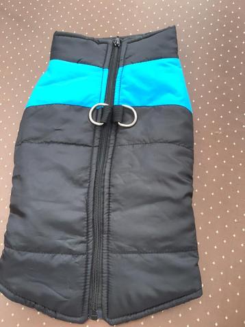 Jasje voor de hond zwart met blauw beschikbaar voor biedingen