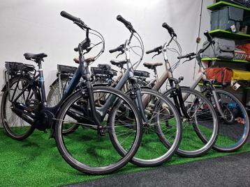Diverse Gazelle e-bike bosch active plus 500wh beschikbaar voor biedingen