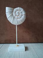 Strand thema beeld zeeslak beige, Noekies.com, Zo goed als nieuw, 3181PN, Info@noekies.com