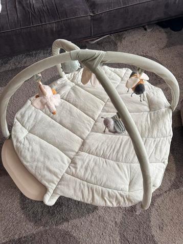 Little Dutch Babygym Groen beschikbaar voor biedingen
