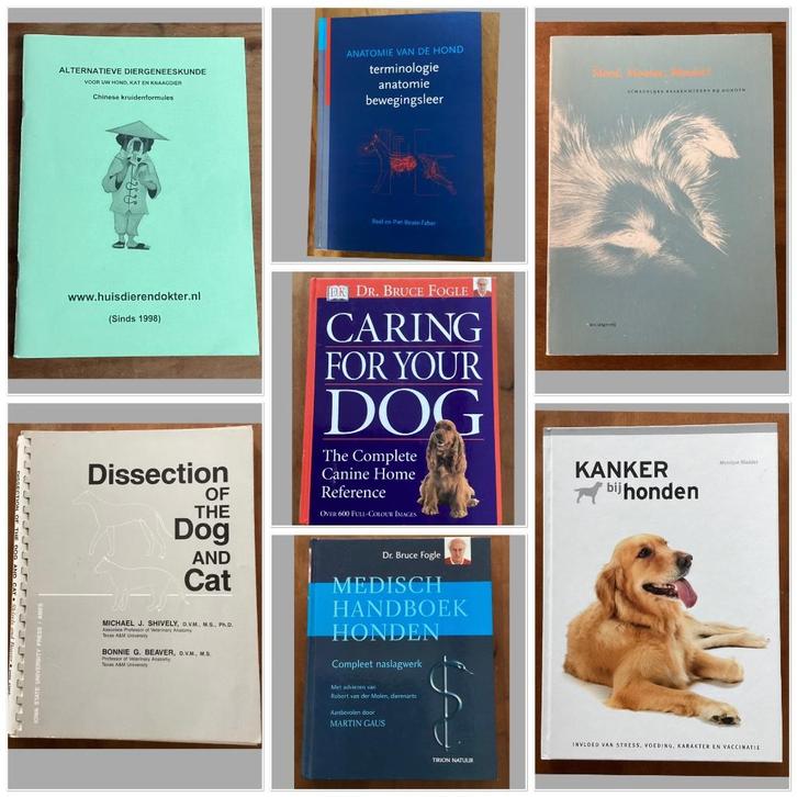 Medisch anatomie kanker hond - Fogle / Bladder / Faber, Boeken, Dieren en Huisdieren, Zo goed als nieuw, Honden, Ophalen of Verzenden