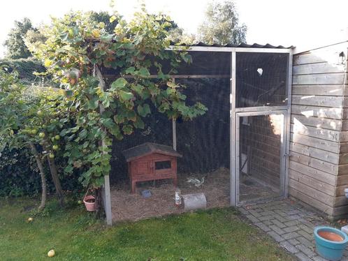 Volière aluminium, Dieren en Toebehoren, Vogels | Hokken en Kooien, Gebruikt, Volière, Aluminium, Ophalen