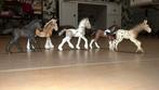 5 schleich veulens, Ophalen of Verzenden, Zo goed als nieuw, Paard, Beeldje of Figuurtje