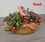 Rechtstreeks uit onze kwekerij gaultheria's in schaal !, Ophalen, Vaste plant, Overige soorten, Volle zon