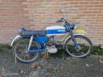 10 Oldtimer bromfietsen uit oude opslag te koop, Oldtimer, Gebruikt, Batavus, Oldtimer