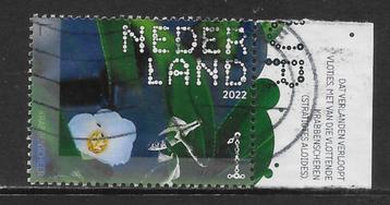 2022, Nieuwkoopse Plassen, Krabbenscheer [4009] (K1235) beschikbaar voor biedingen