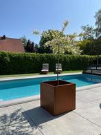 Cortenstaal bloembakken 50 x 50, Tuin, Minder dan 60 cm, Vierkant, Nieuw
