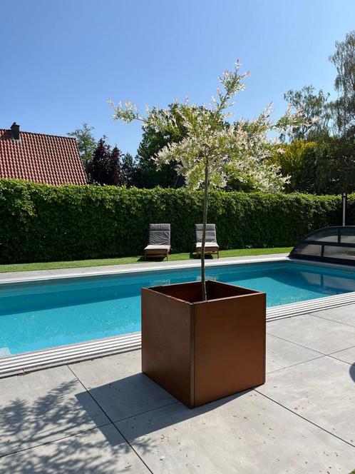 Cortenstaal bloembakken 50 x 50, Tuin en Terras, Bloembakken en Plantenbakken, Nieuw, Metaal, Binnen, Balkon, Tuin, 30 tot 60 cm