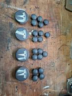 Tesla Wielmoerdoppen + Naafdoppen Set, Ophalen of Verzenden, Gebruikt