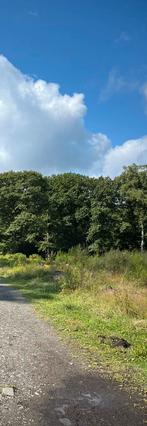 Paarden stalling gezocht omgevening Sliedrecht, Dieren en Toebehoren, Stalling en Weidegang, Stalling