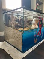 Terarrium kleine knaagdieren, 110 cm of meer, Overige typen, Zo goed als nieuw, Hamster