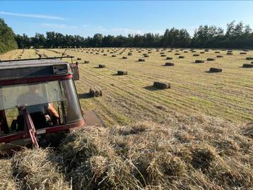 Prachtige flinke hooi baaltjes / pakjes van diverse sneden beschikbaar voor biedingen