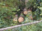 Houten boomstammen,  den, Minder dan 3 m³, Ophalen, Overige houtsoorten