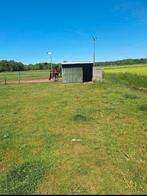 Op zoek naar een weidemaatje pony of paard, Dieren en Toebehoren, Stalling en Weidegang